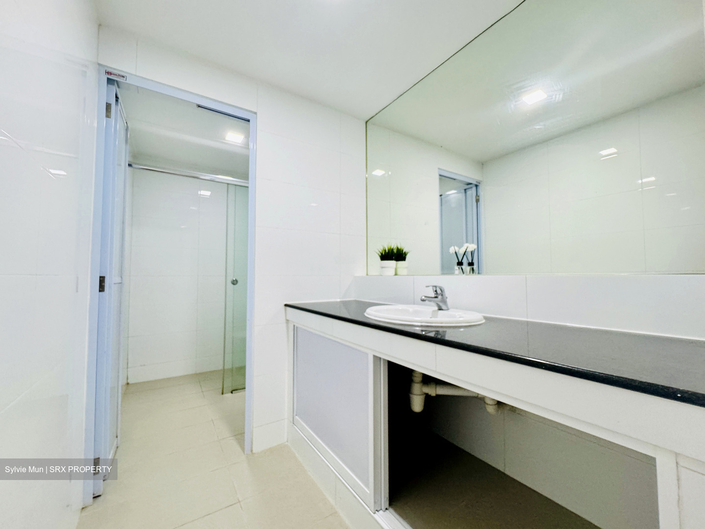 Ridgewood (D10), Condominium #596235381